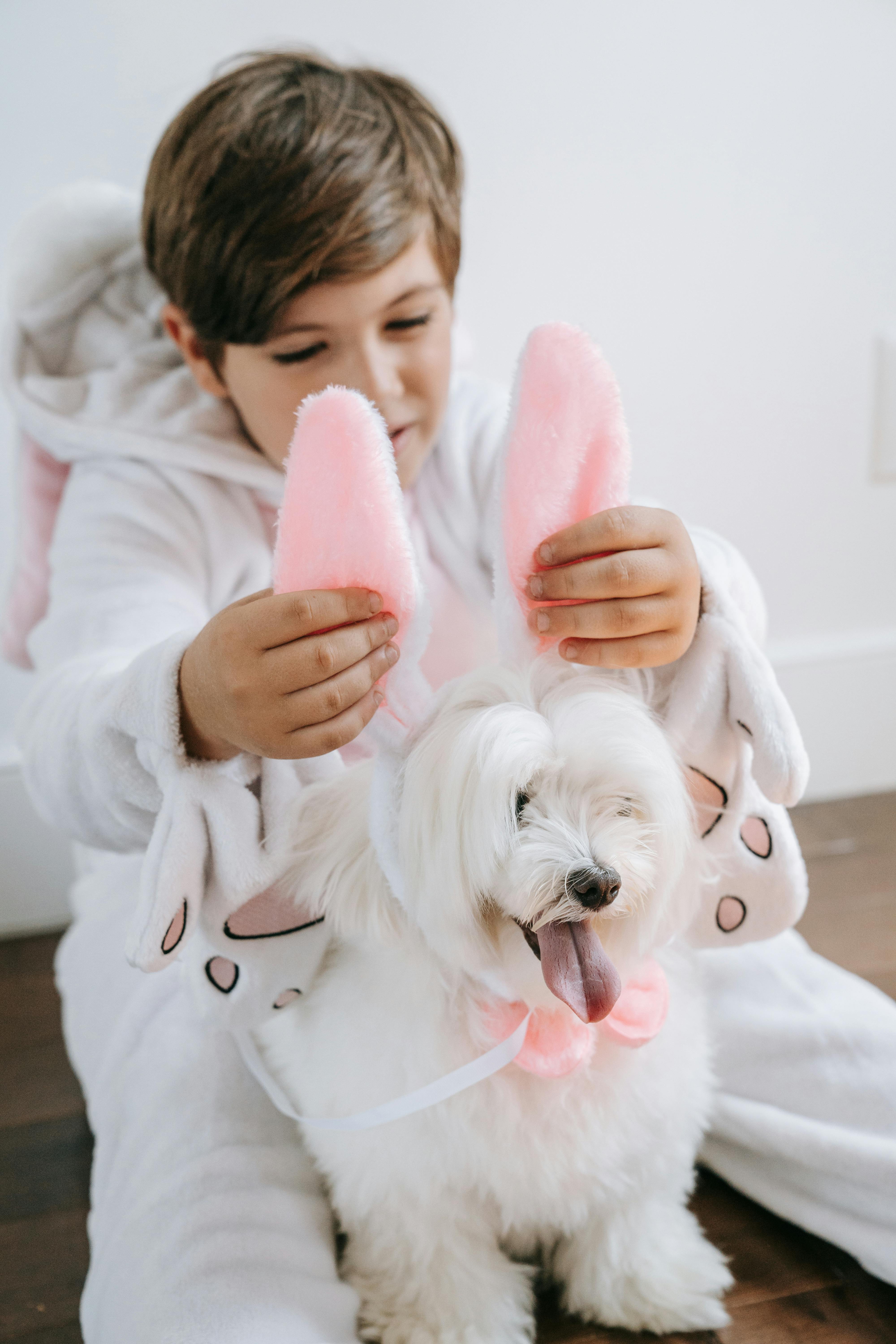 Smart Ways to Optimize Syrian Hamster Care for Healthy Pets in 2025